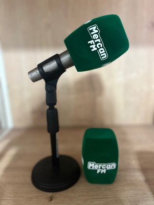 Yıldız Promosyon mikrofon süngeri örnek uygulama görseli #27