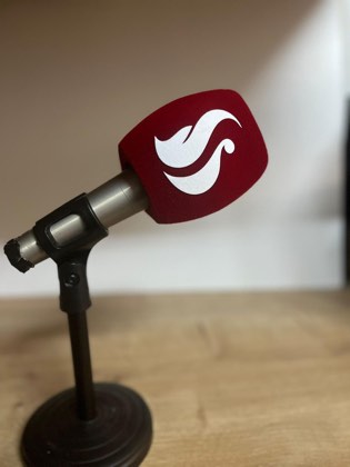 Yıldız Promosyon mikrofon süngeri örnek uygulama görseli #4